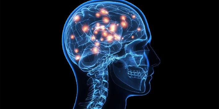 Neuroscience,brain,pic,new,Size